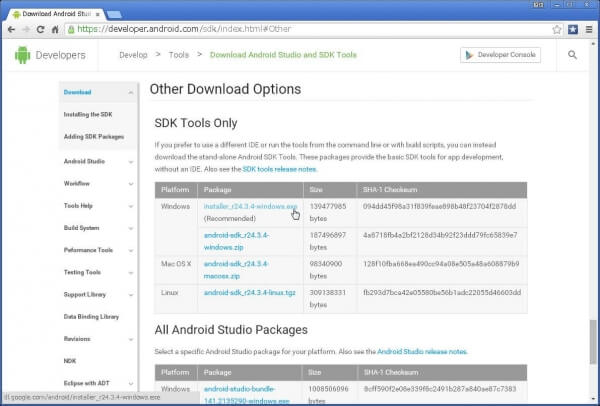 「installer_r24.3.4-windows.exe」リンクをクリック